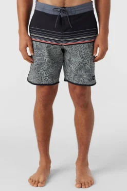 CRUZER SCALLOP 18
